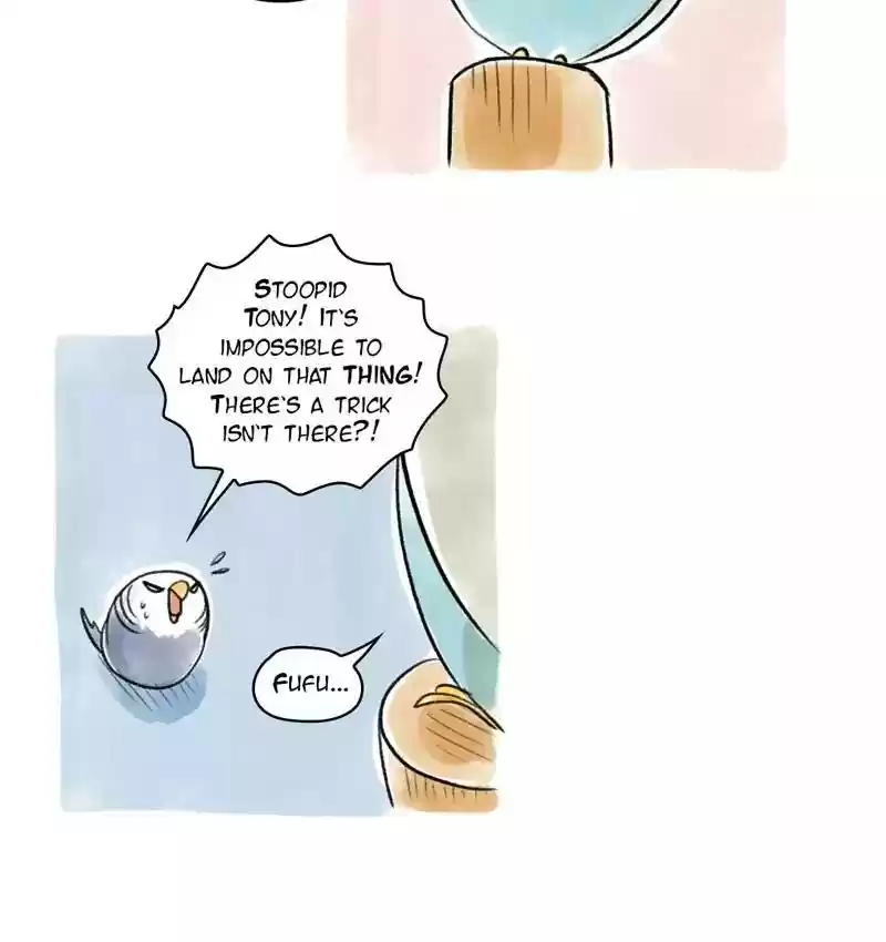 A Budgie's Life Chapter 88: Ep.88:
