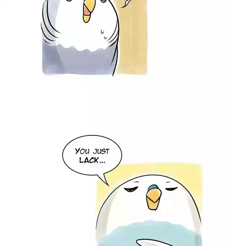 A Budgie's Life Chapter 88: Ep.88: