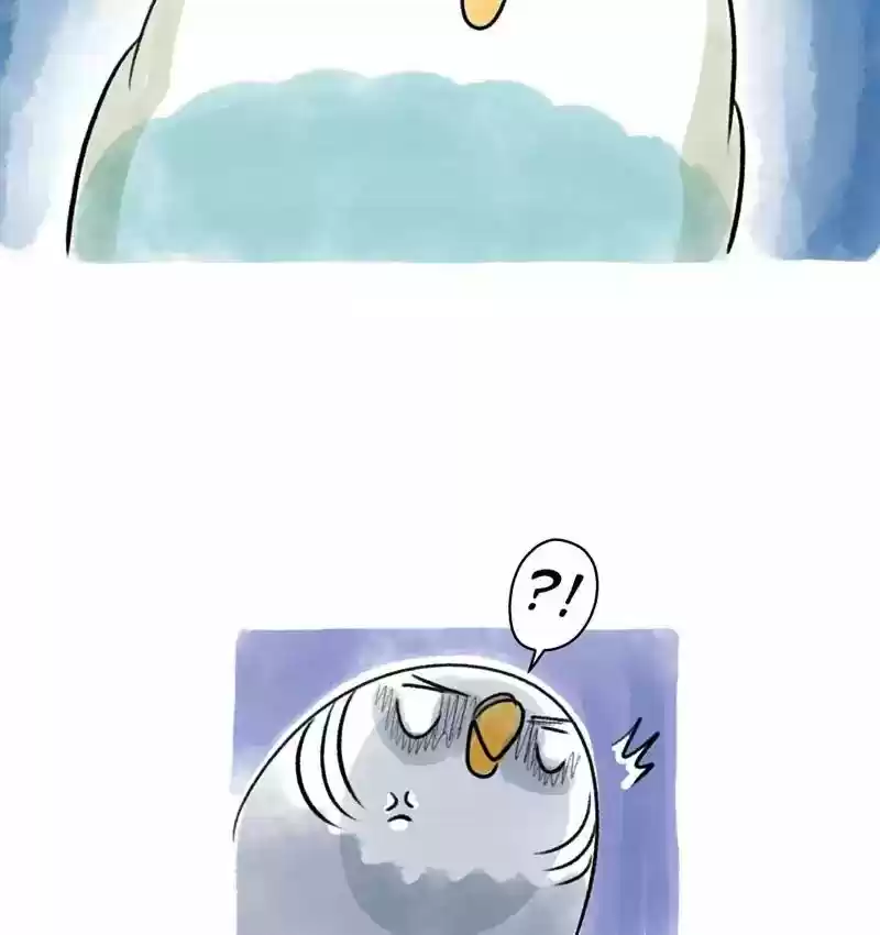 A Budgie's Life Chapter 88: Ep.88: