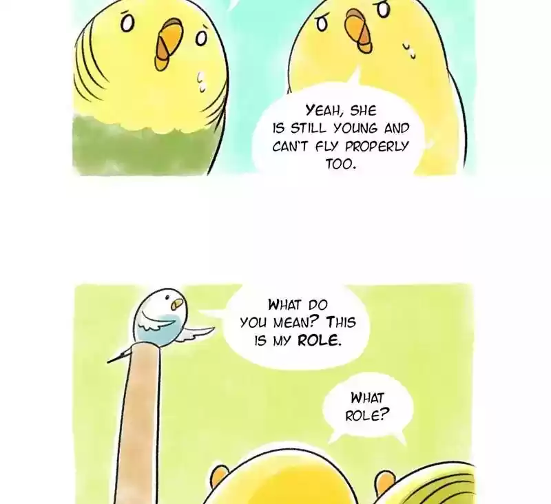 A Budgie's Life Chapter 88: Ep.88: