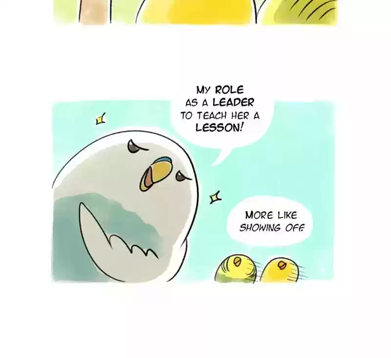 A Budgie's Life Chapter 88: Ep.88:
