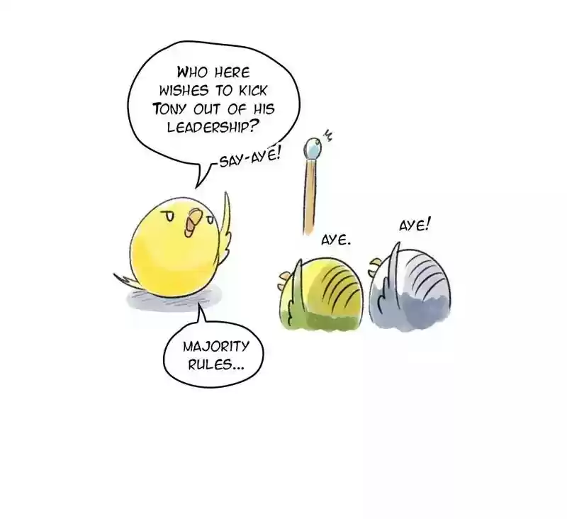 A Budgie's Life Chapter 88: Ep.88: