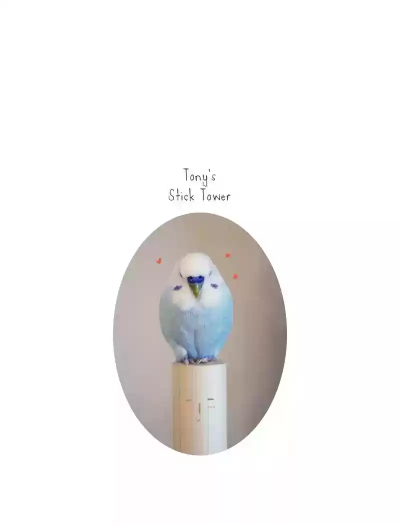 A Budgie's Life Chapter 88: Ep.88: