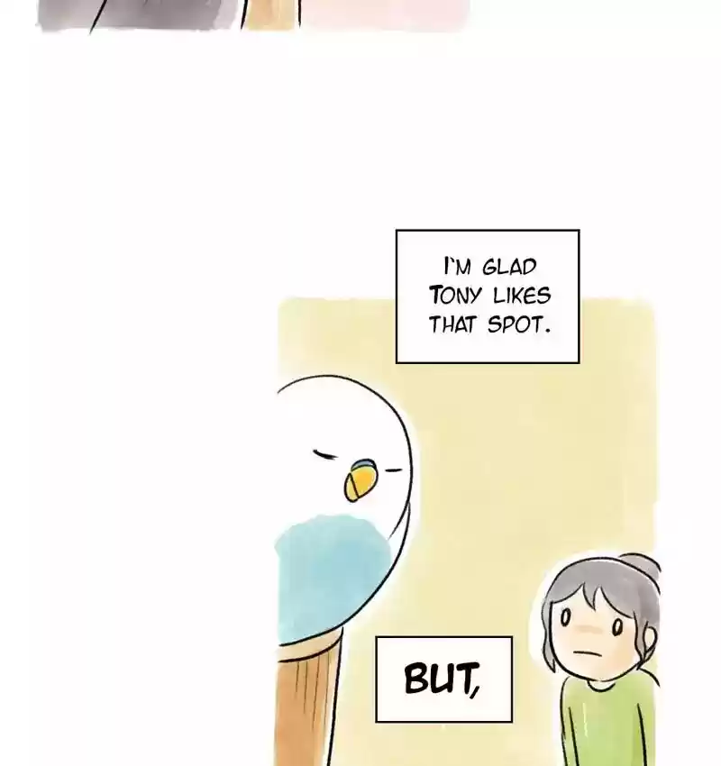 A Budgie's Life Chapter 89: Ep.89: