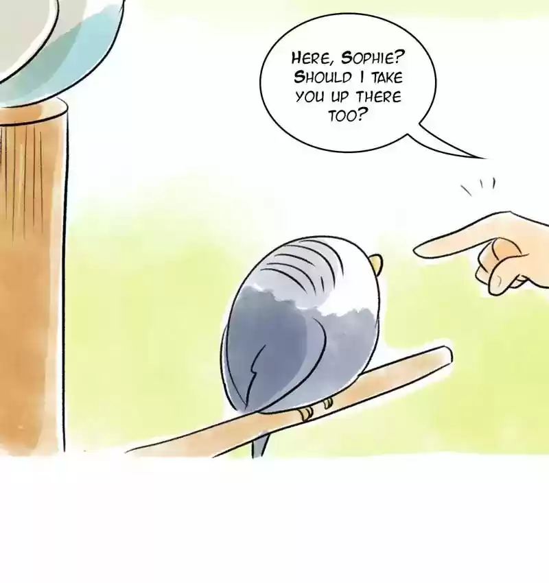 A Budgie's Life Chapter 89: Ep.89: