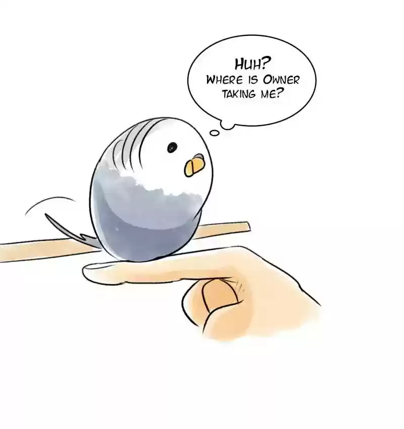 A Budgie's Life Chapter 89: Ep.89:
