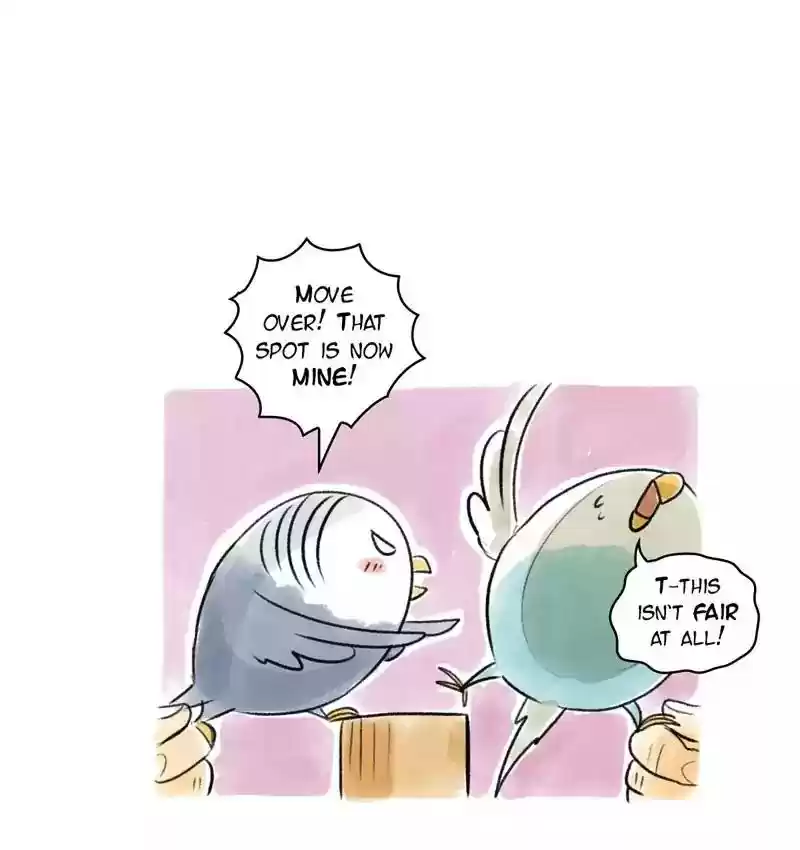 A Budgie's Life Chapter 89: Ep.89: