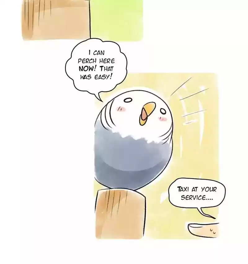 A Budgie's Life Chapter 89: Ep.89: