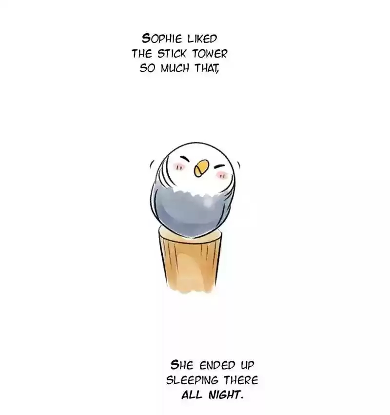 A Budgie's Life Chapter 89: Ep.89: