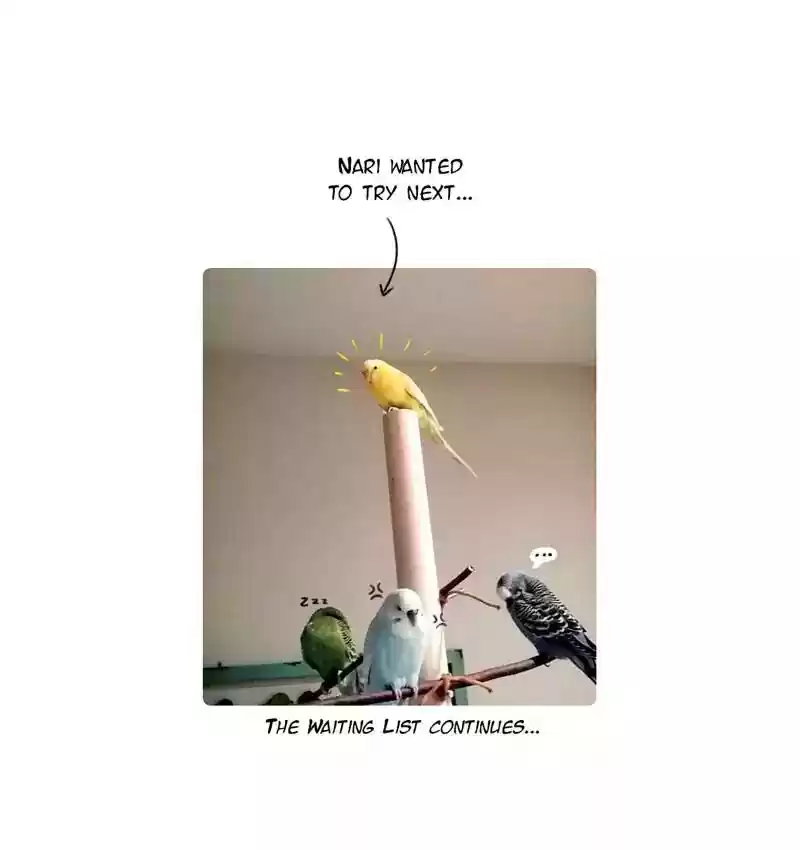 A Budgie's Life Chapter 89: Ep.89: