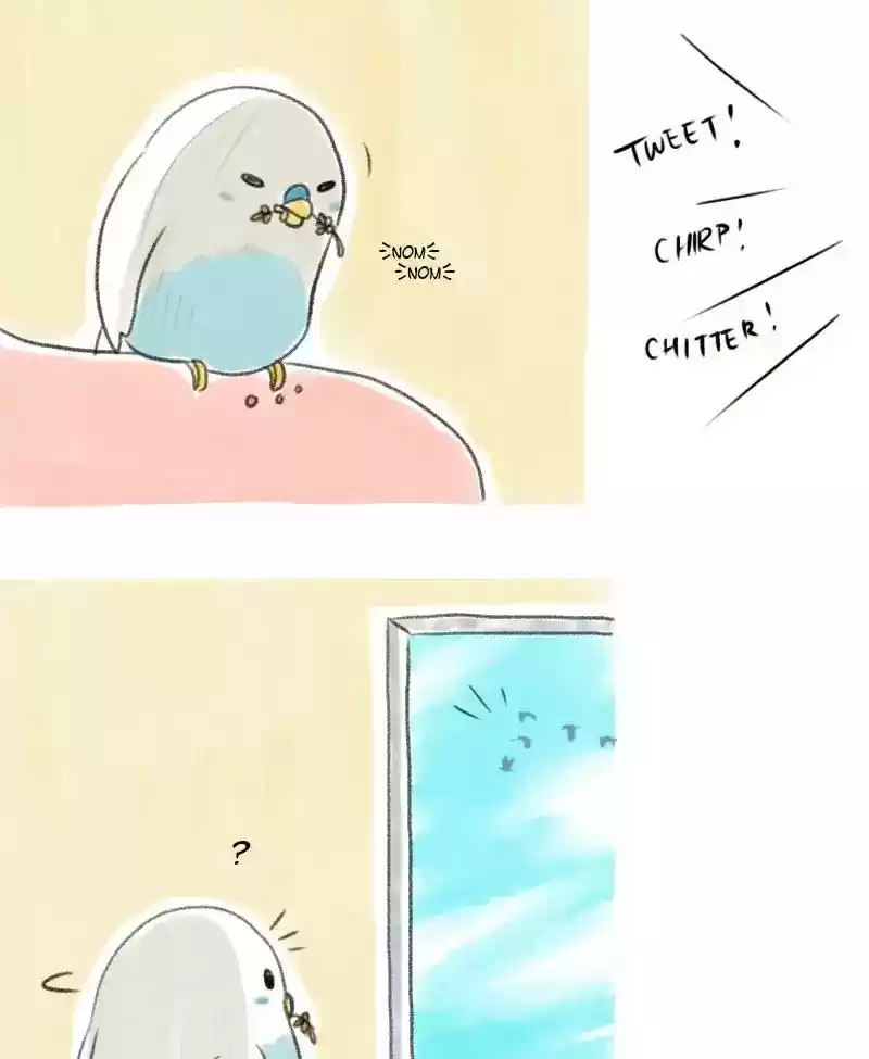 A Budgie's Life Chapter 9: Ep.9: