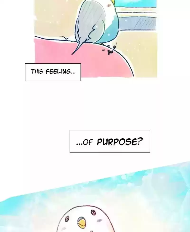 A Budgie's Life Chapter 9: Ep.9: