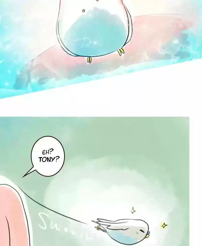 A Budgie's Life Chapter 9: Ep.9: