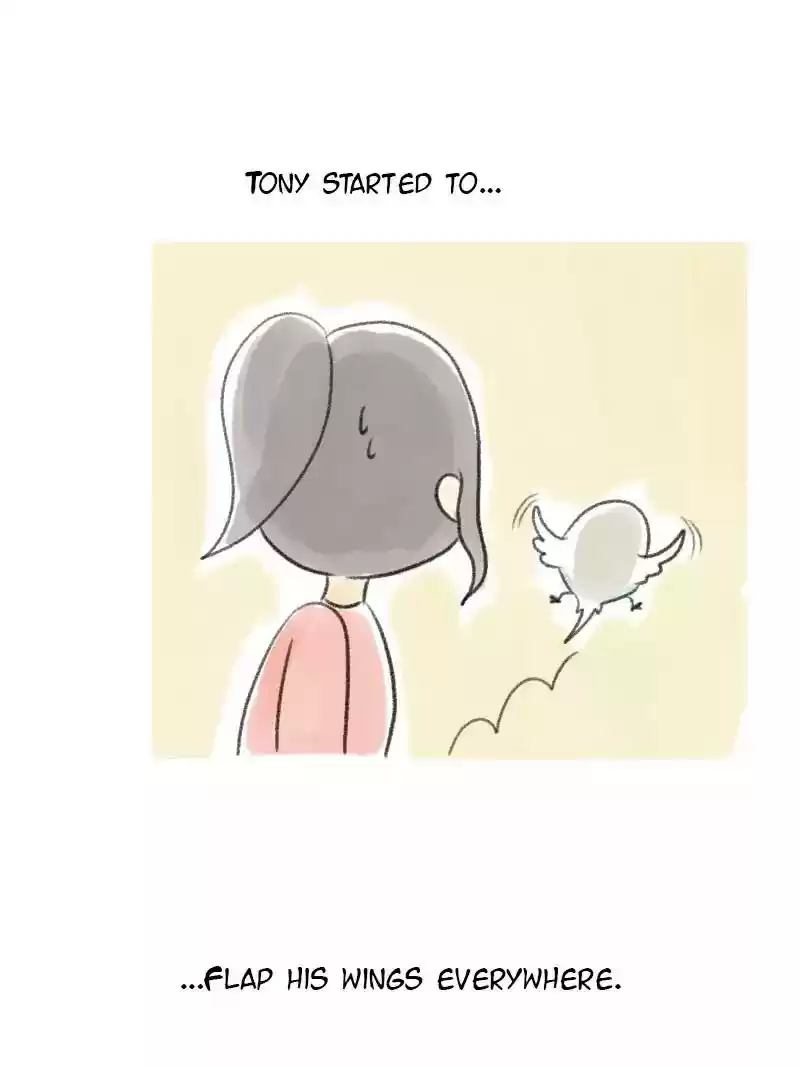 A Budgie's Life Chapter 9: Ep.9: