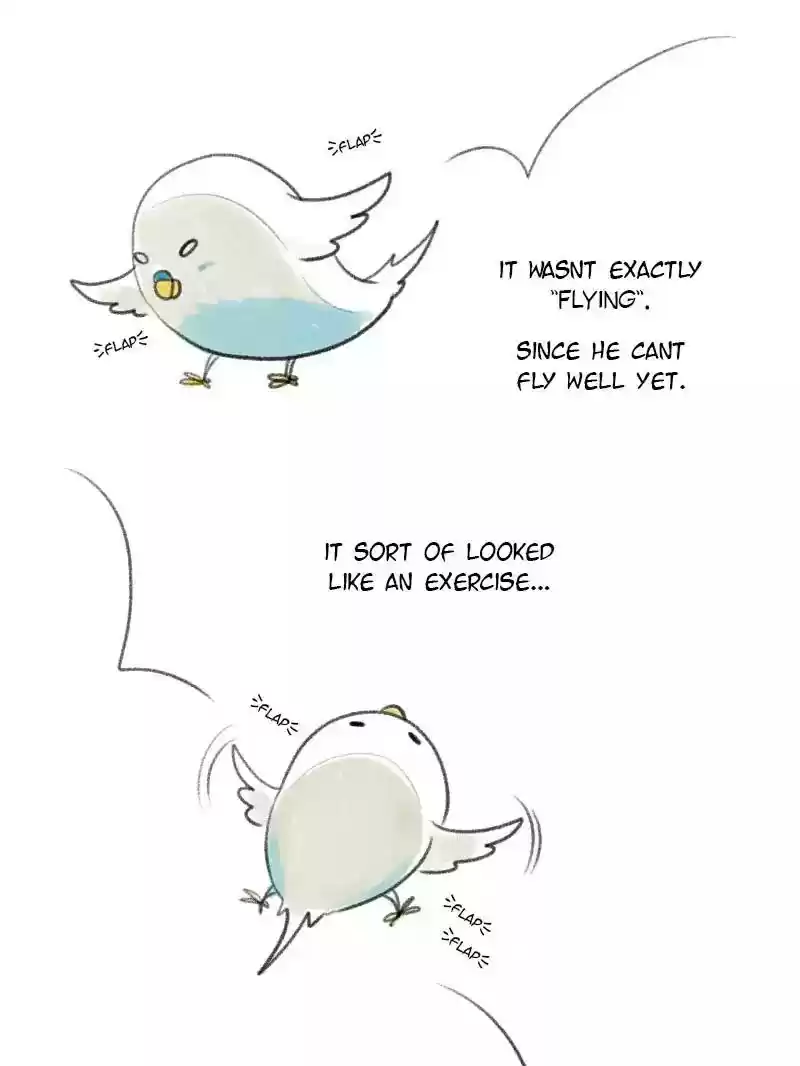 A Budgie's Life Chapter 9: Ep.9: