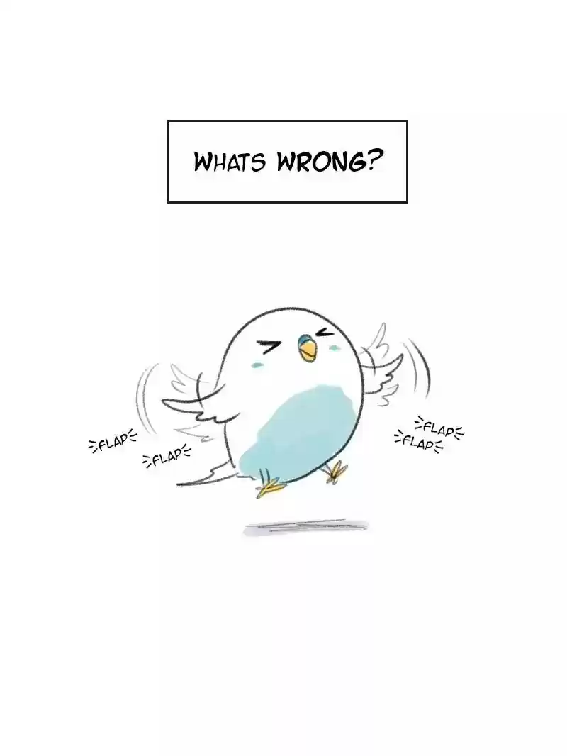 A Budgie's Life Chapter 9: Ep.9: