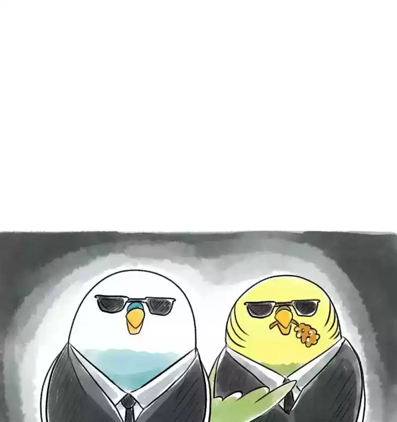 A Budgie's Life Chapter 90: Ep.90: