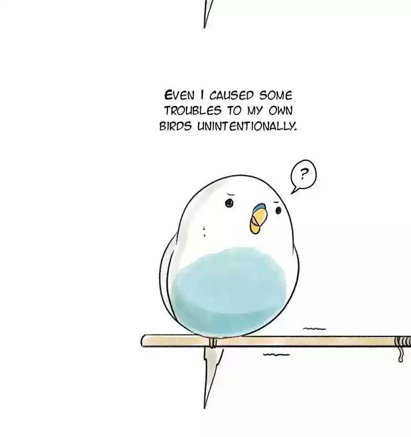 A Budgie's Life Chapter 90: Ep.90: