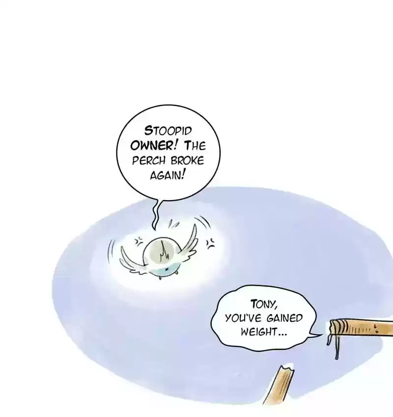A Budgie's Life Chapter 90: Ep.90: