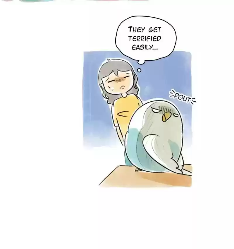 A Budgie's Life Chapter 90: Ep.90: