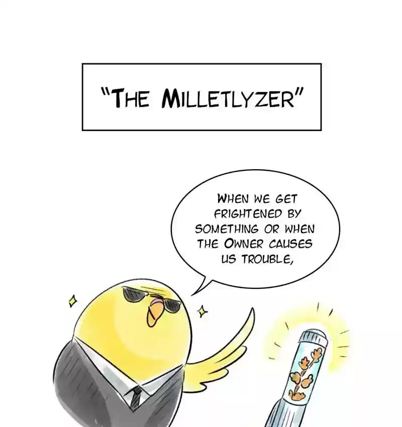 A Budgie's Life Chapter 90: Ep.90: