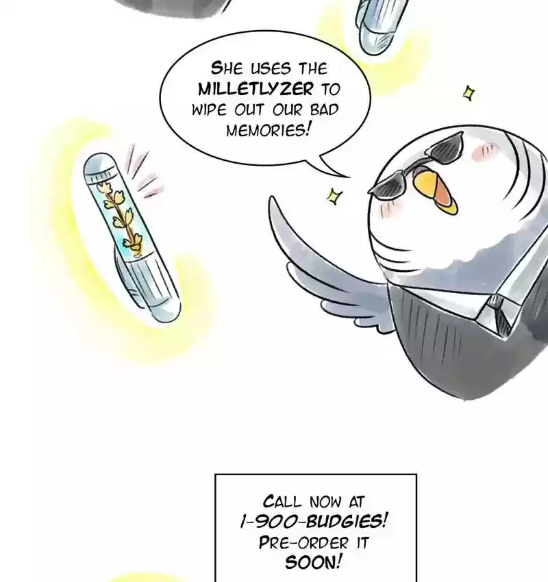 A Budgie's Life Chapter 90: Ep.90: