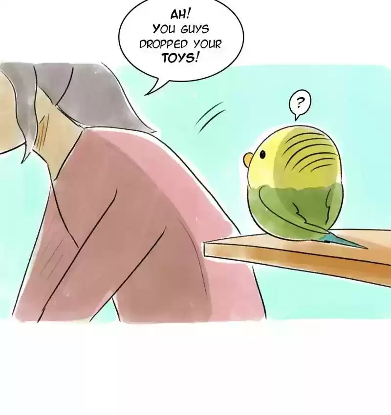 A Budgie's Life Chapter 90: Ep.90:
