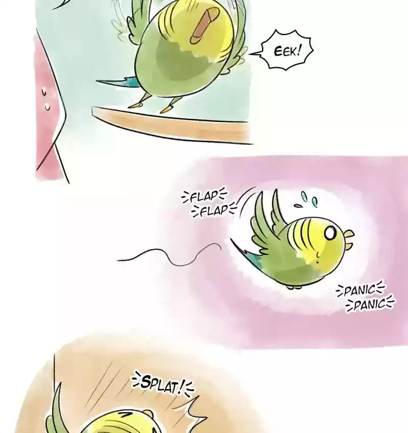 A Budgie's Life Chapter 90: Ep.90: