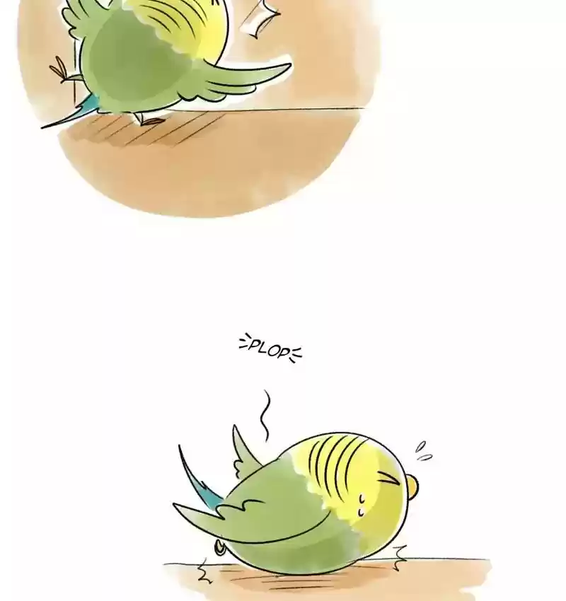 A Budgie's Life Chapter 90: Ep.90: