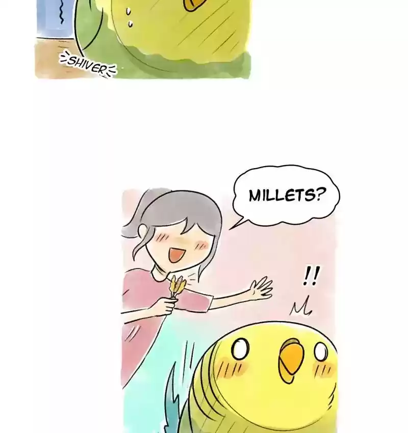 A Budgie's Life Chapter 90: Ep.90: