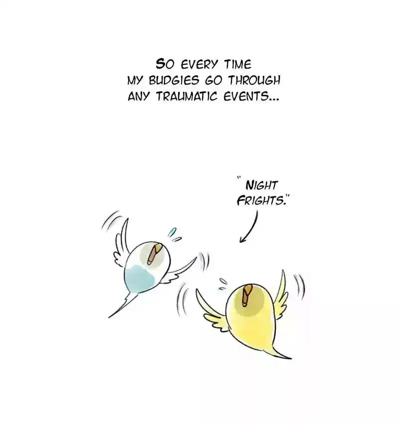 A Budgie's Life Chapter 90: Ep.90: