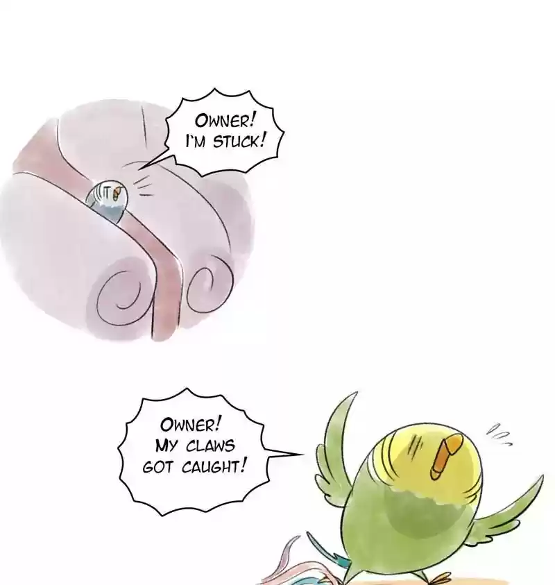 A Budgie's Life Chapter 90: Ep.90: