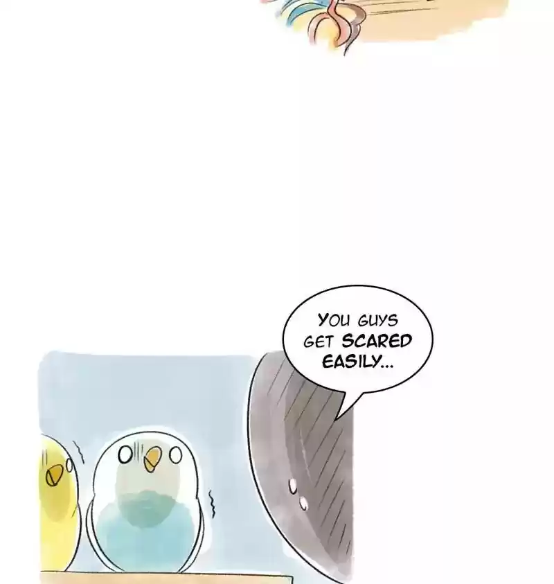 A Budgie's Life Chapter 90: Ep.90: