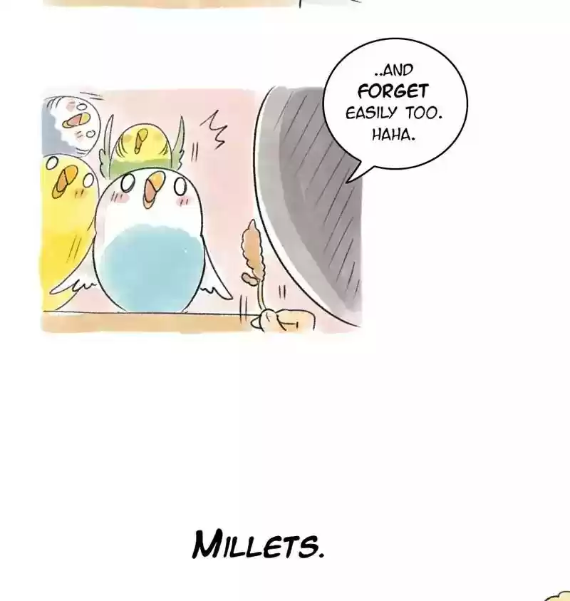 A Budgie's Life Chapter 90: Ep.90: