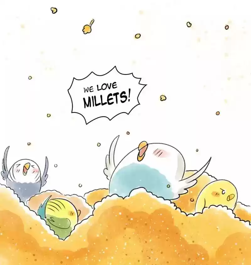 A Budgie's Life Chapter 90: Ep.90: