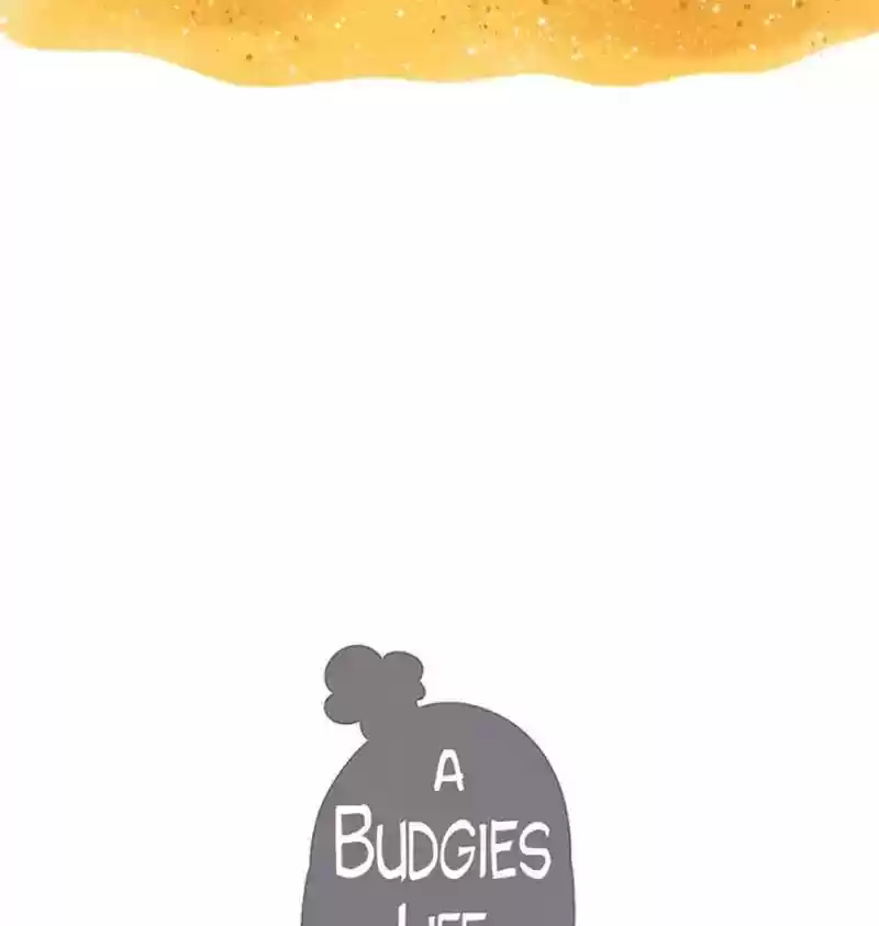 A Budgie's Life Chapter 90: Ep.90: