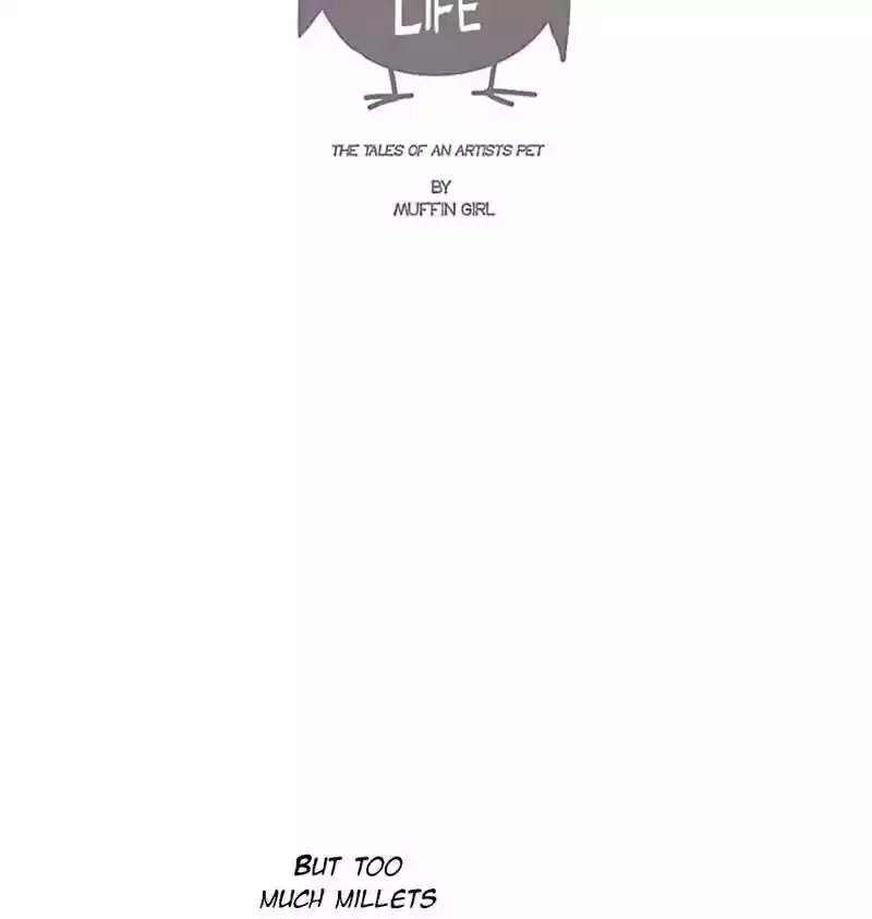 A Budgie's Life Chapter 90: Ep.90: