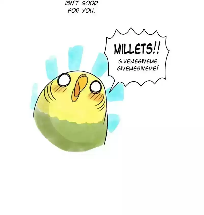 A Budgie's Life Chapter 90: Ep.90: