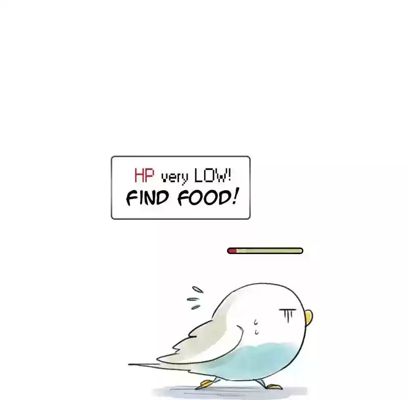 A Budgie's Life Chapter 91: Ep.91: