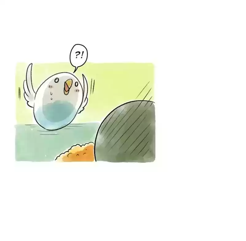 A Budgie's Life Chapter 91: Ep.91: