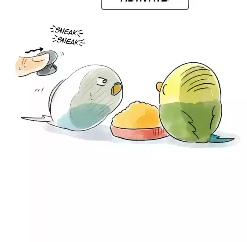 A Budgie's Life Chapter 91: Ep.91: