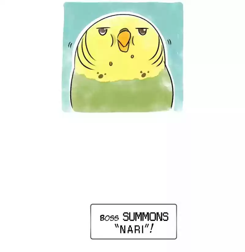 A Budgie's Life Chapter 91: Ep.91: