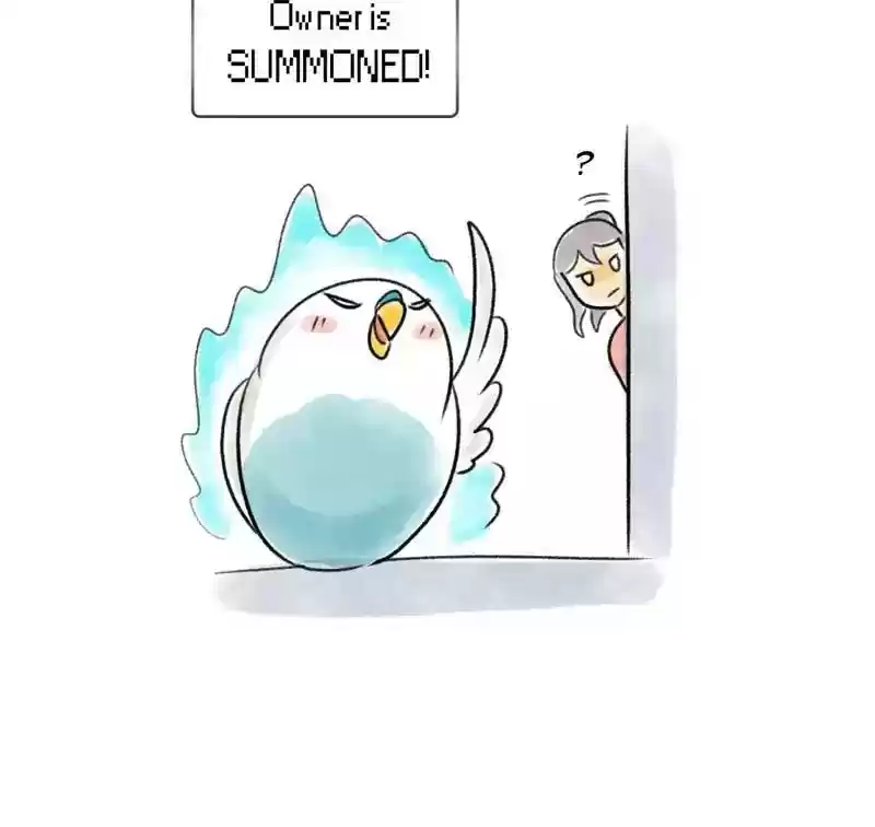 A Budgie's Life Chapter 91: Ep.91: