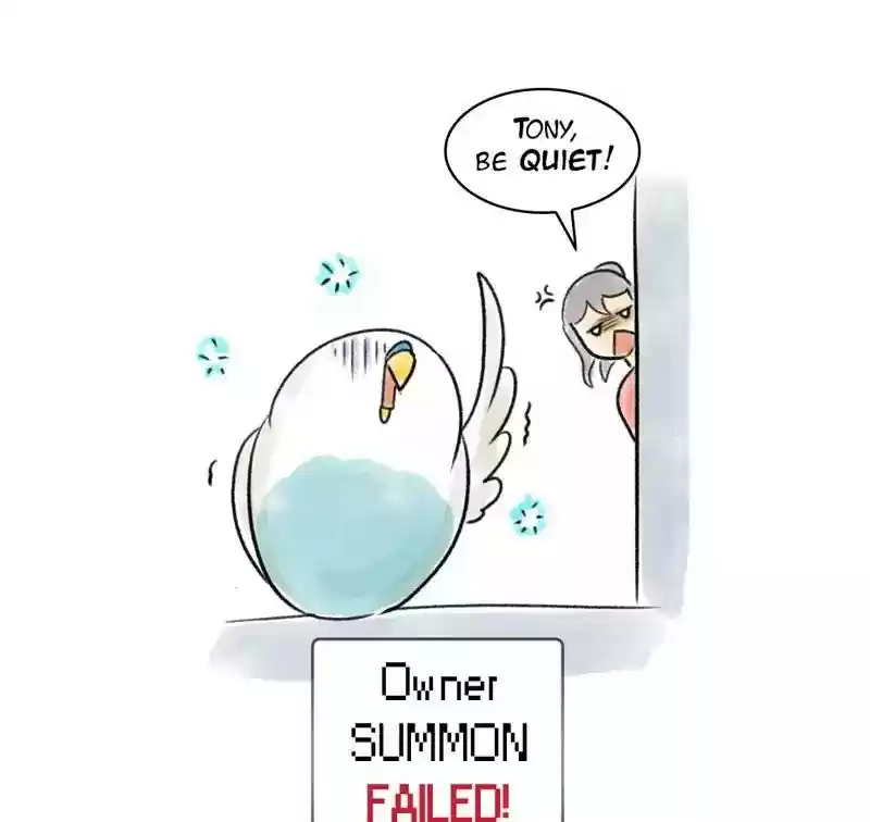 A Budgie's Life Chapter 91: Ep.91: