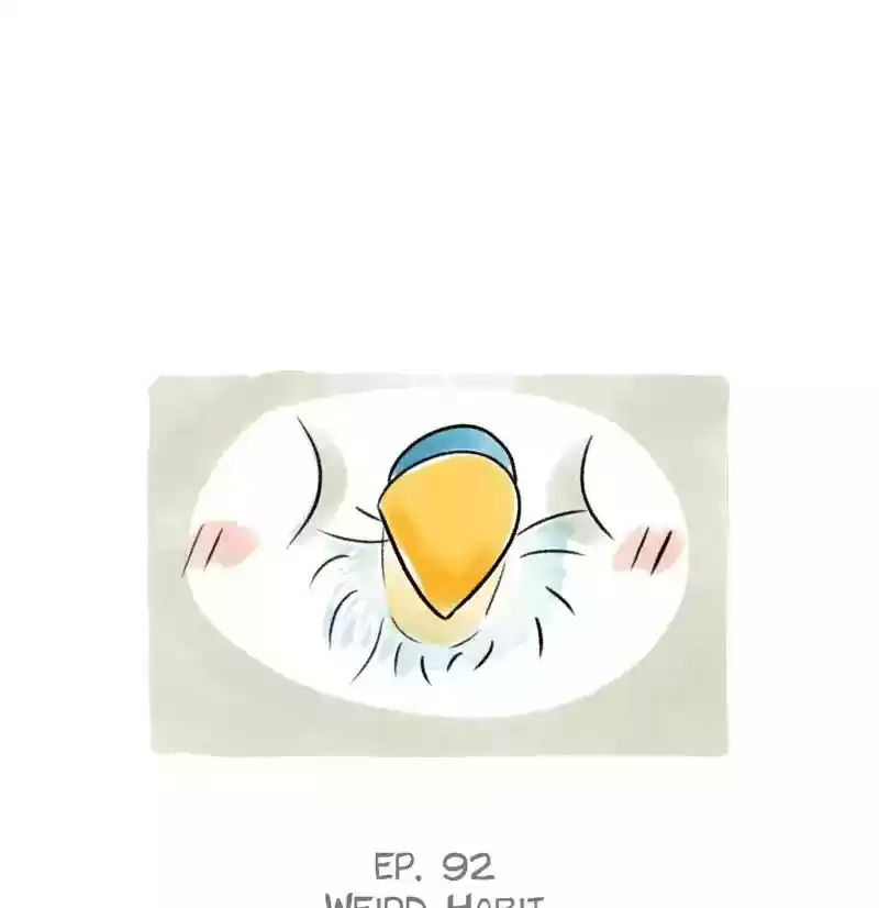 A Budgie's Life Chapter 92: Ep.92: