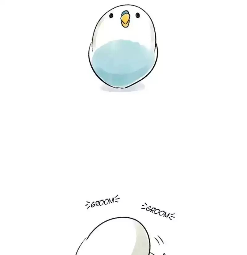 A Budgie's Life Chapter 92: Ep.92: