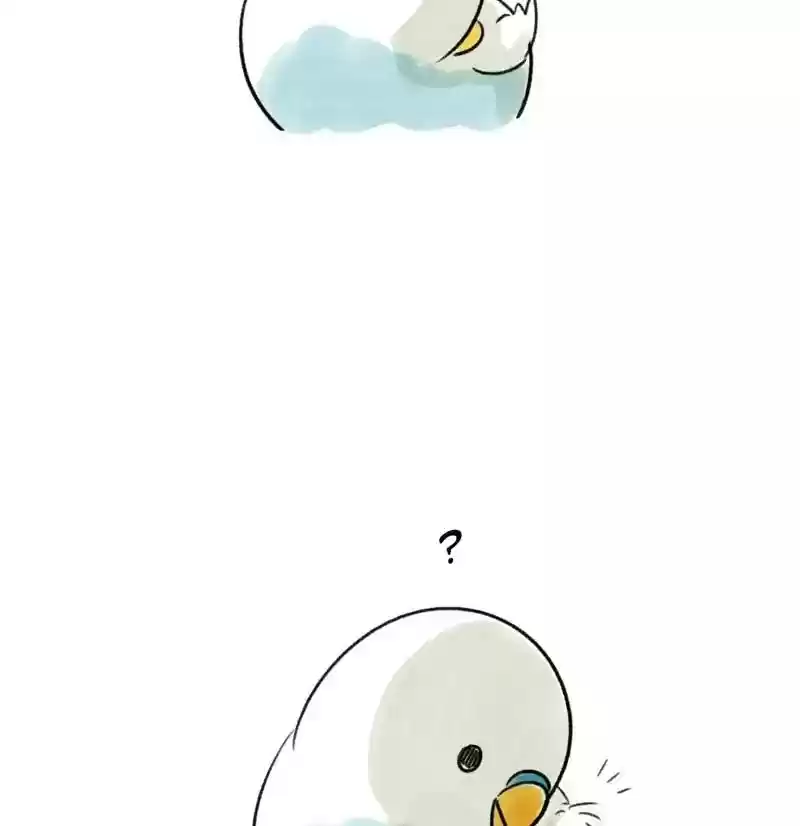 A Budgie's Life Chapter 92: Ep.92: