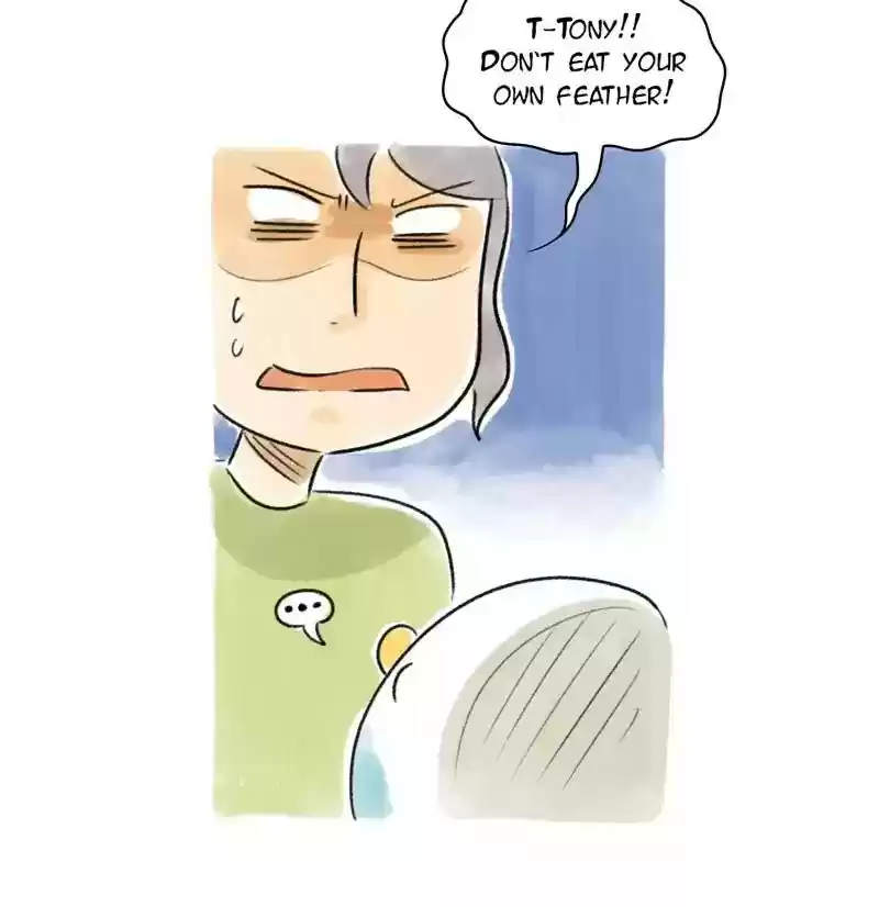 A Budgie's Life Chapter 92: Ep.92: