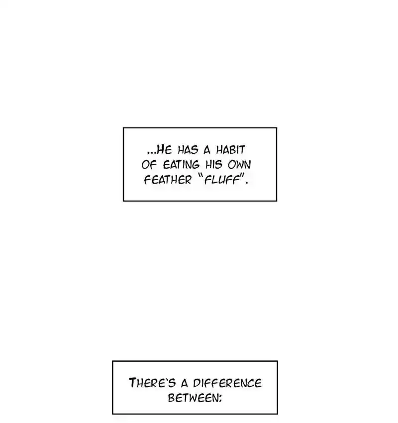 A Budgie's Life Chapter 92: Ep.92: