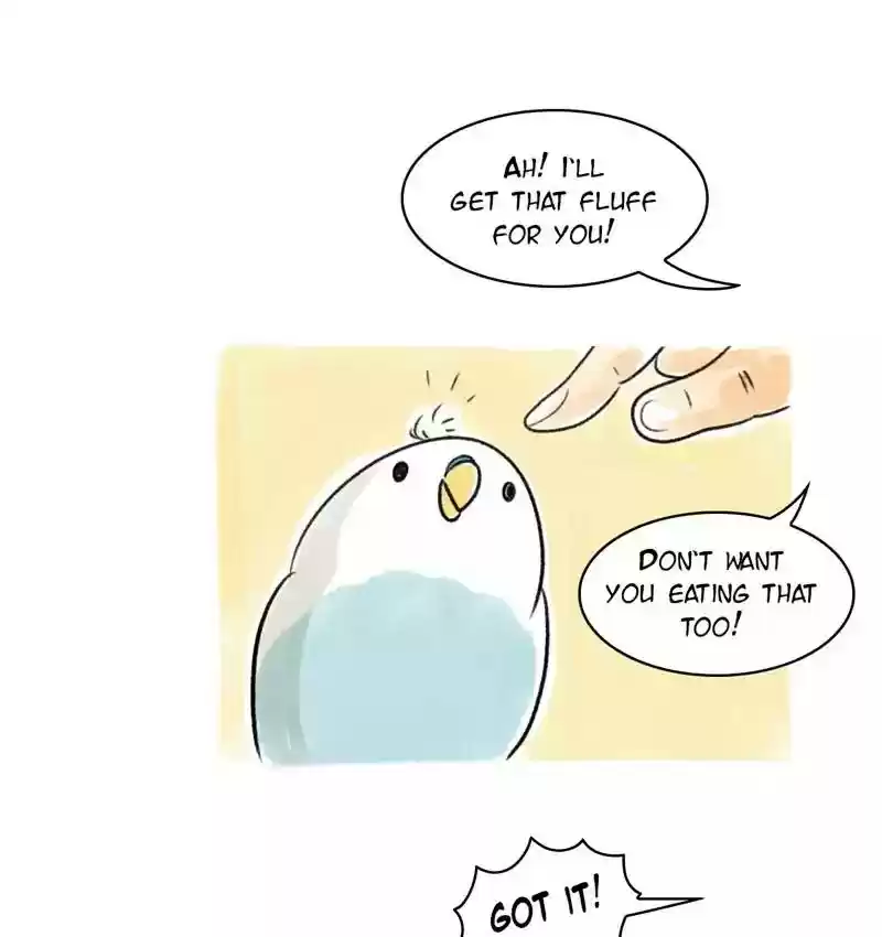 A Budgie's Life Chapter 92: Ep.92: